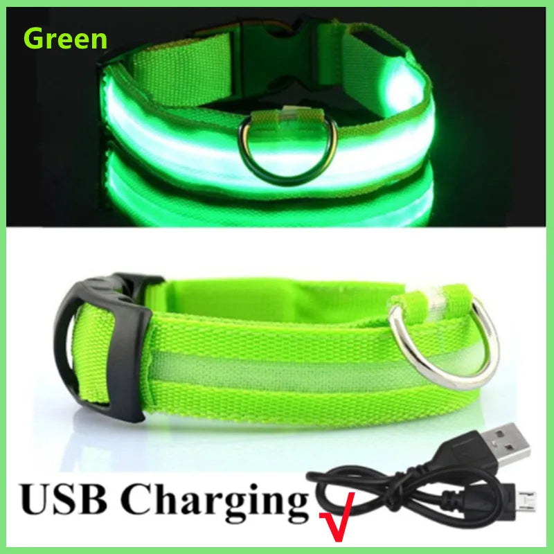 Glow Collar