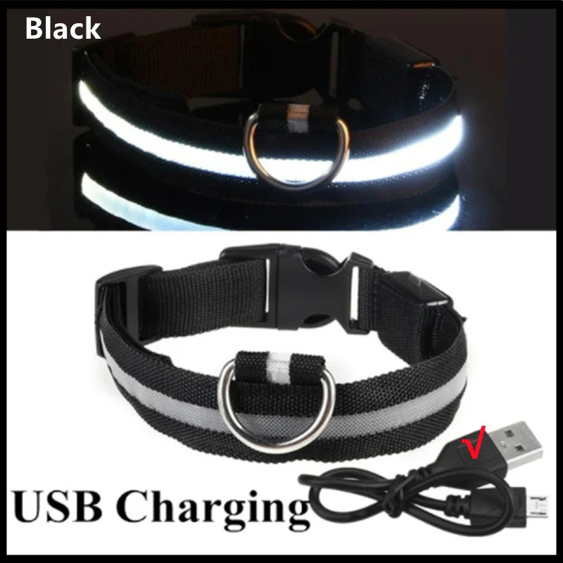Glow Collar