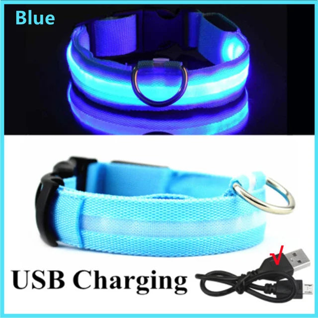 Glow Collar