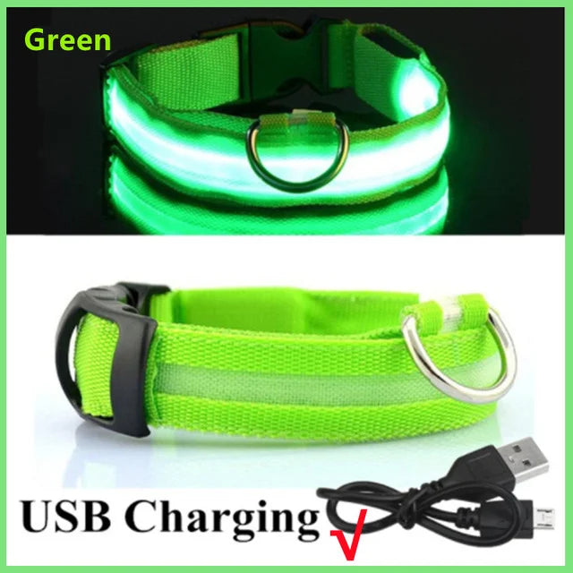 Glow Collar