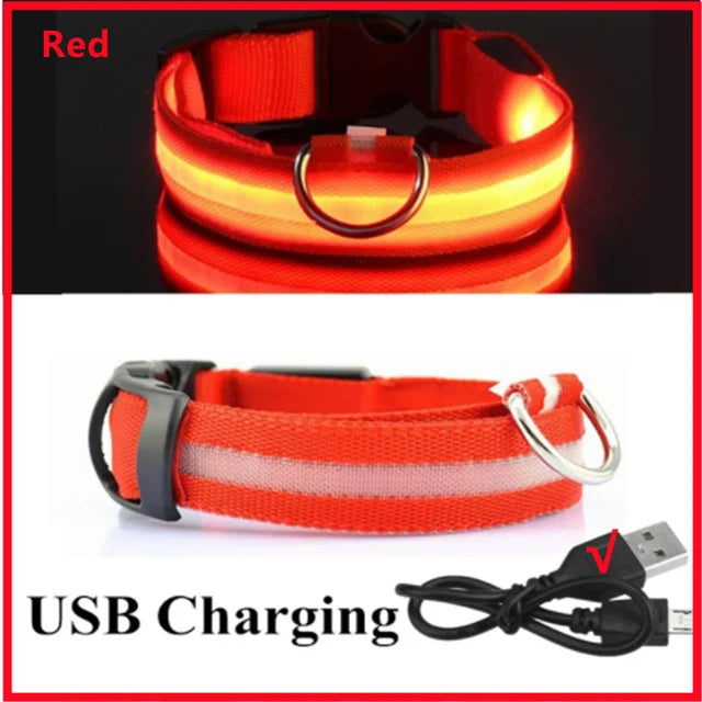 Glow Collar