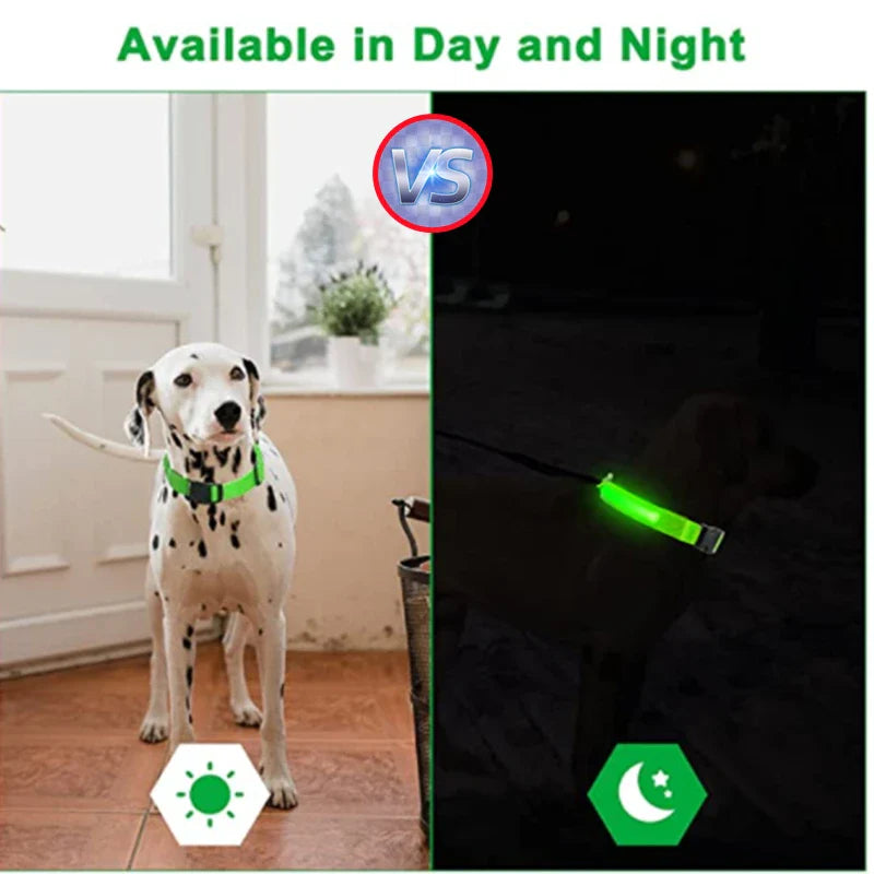 Glow Collar