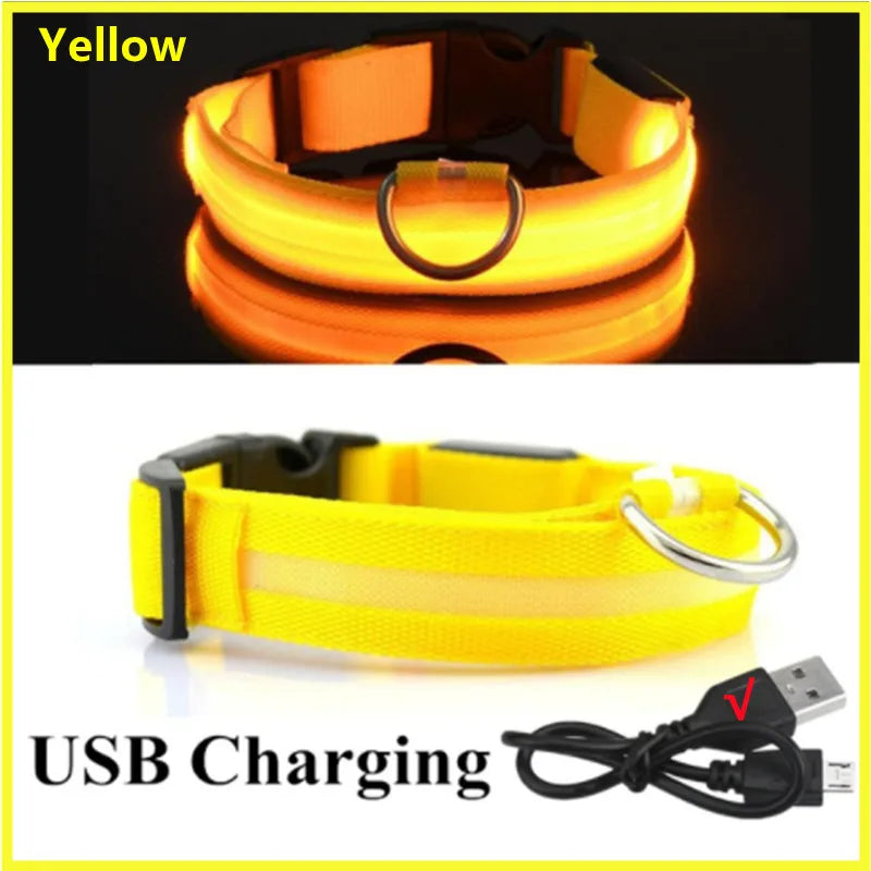 Glow Collar