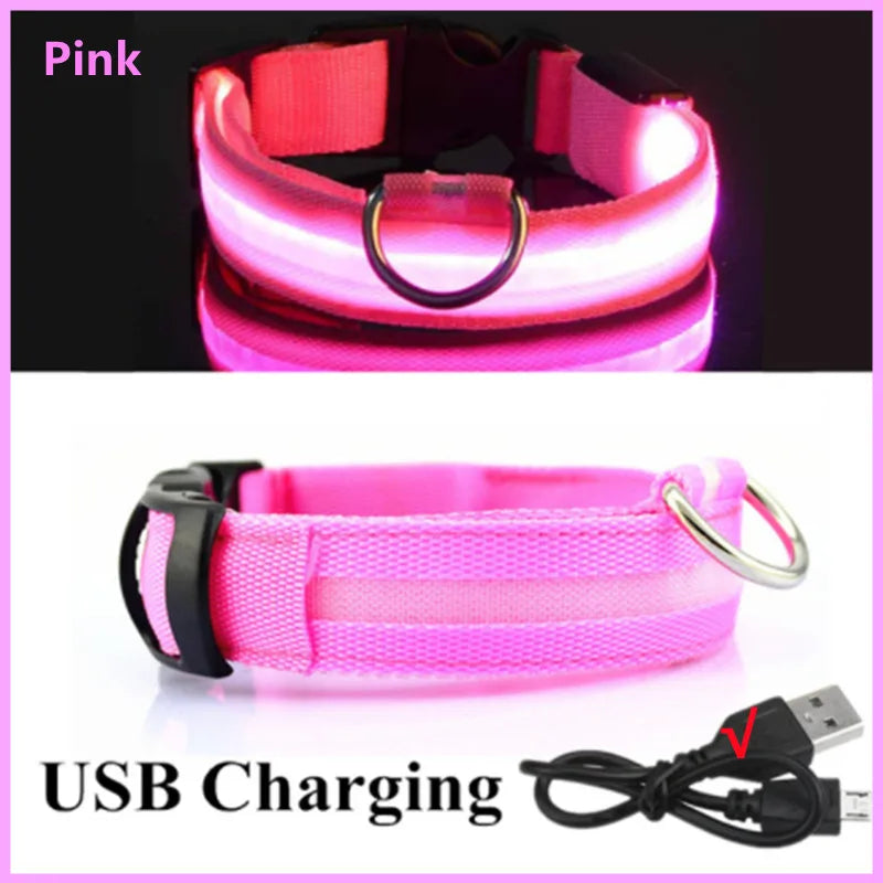 Glow Collar