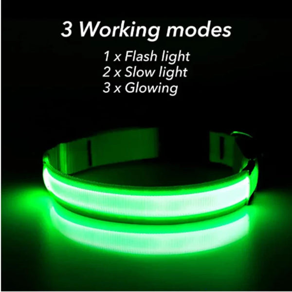 Glow Collar