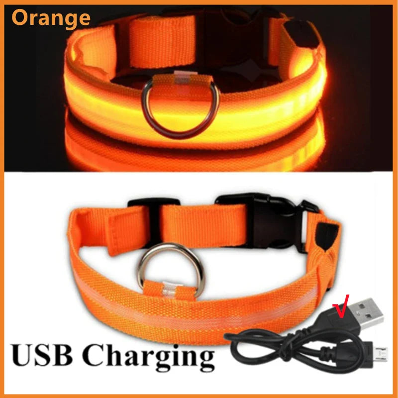 Glow Collar