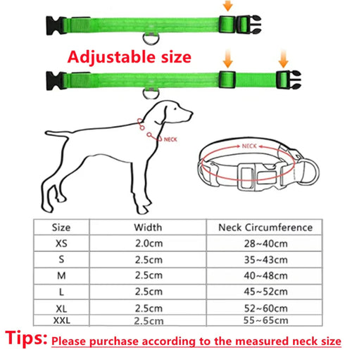 Glow Collar